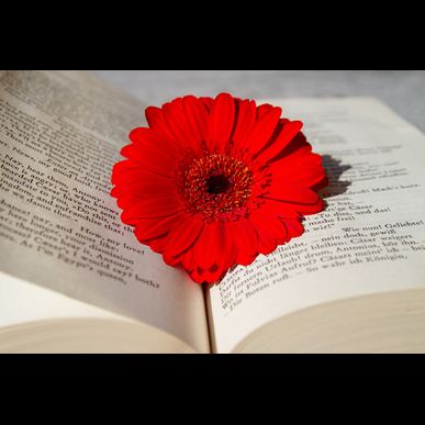 結婚式を挙げない方必見！贈り物ならSANTA Factorへ